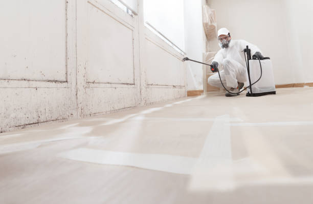 24/7 Emergency Mold Removal experts in Petersburg, PA